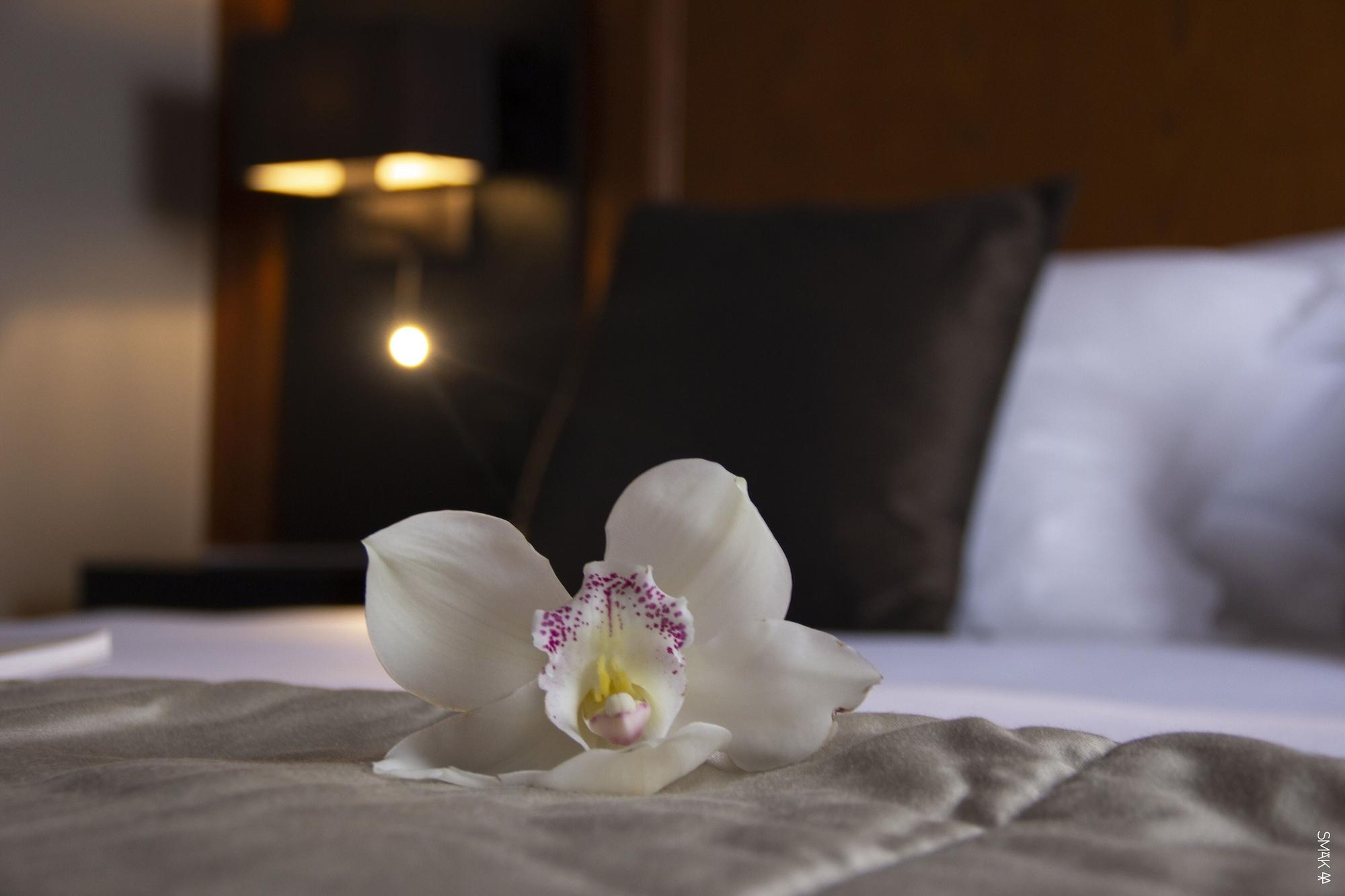 Hotel L'Europe Horbourg-Wihr Eksteriør billede